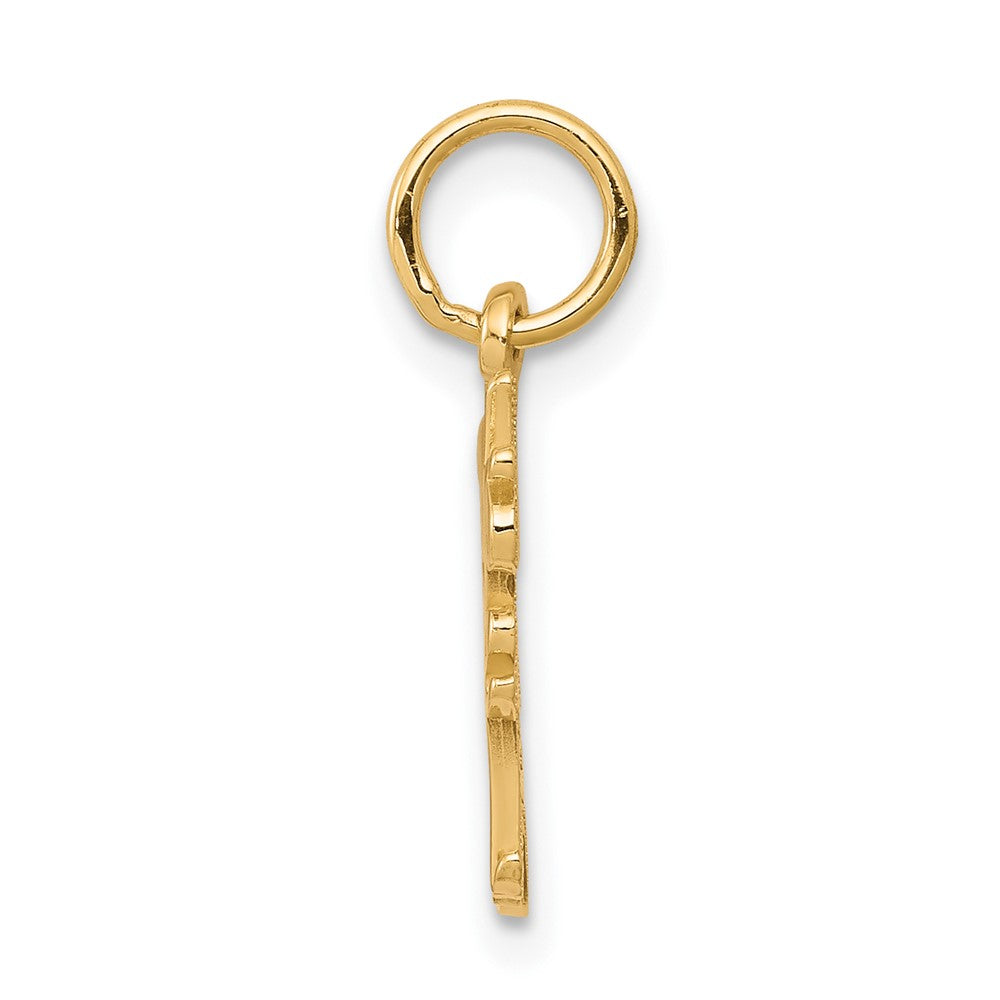 10k Yellow Gold 8 mm DADDYS LITTLE GIRL Charm (0.59 grams)