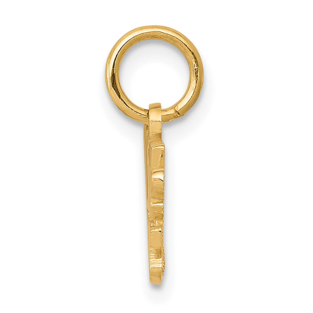 10k Yellow Gold 21 mm LITTLE PRINCESS with Crown Charm (0.86 grams)