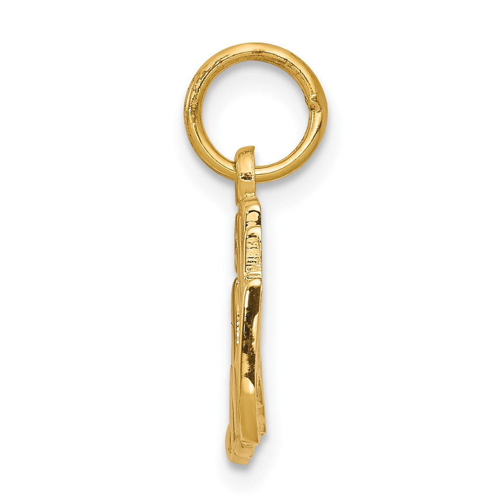 10k Yellow Gold 26 mm 50th ANNIVERSARY Charm (0.69 grams)