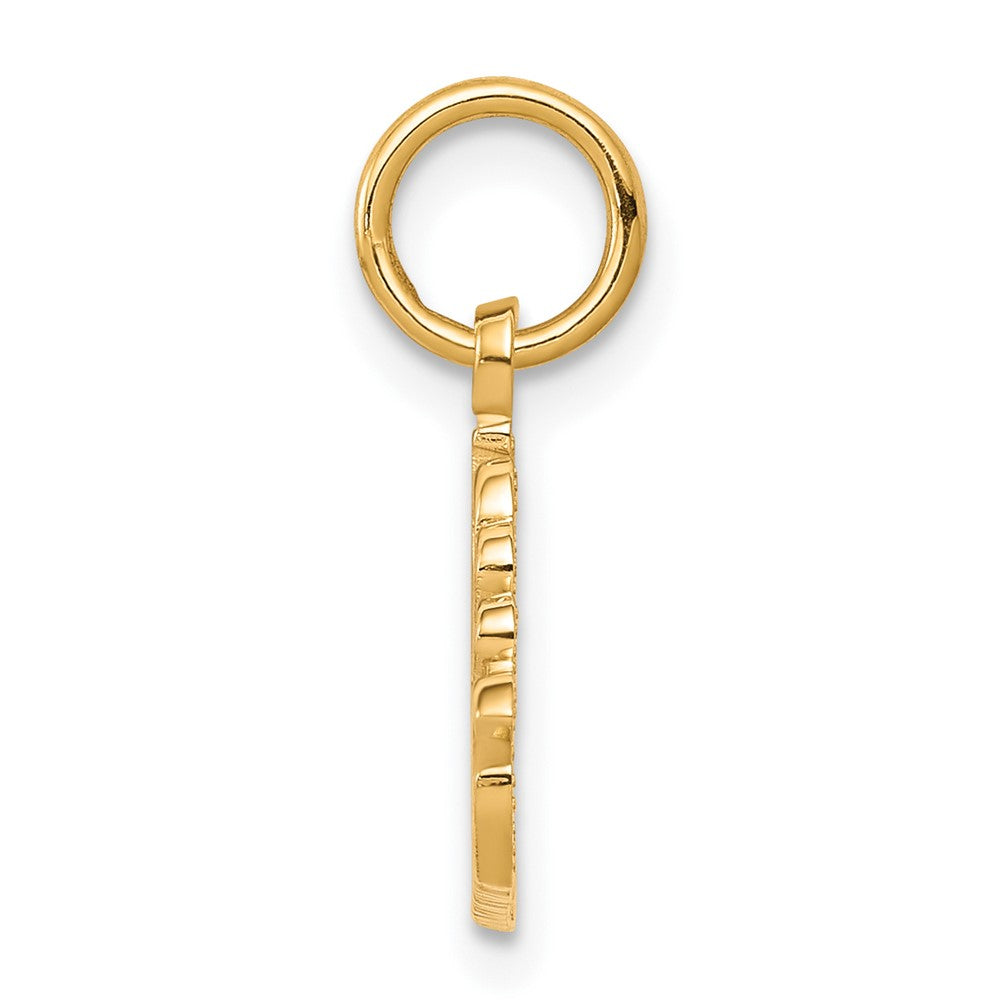 10k Yellow Gold 23 mm ng Charm (0.96 grams)