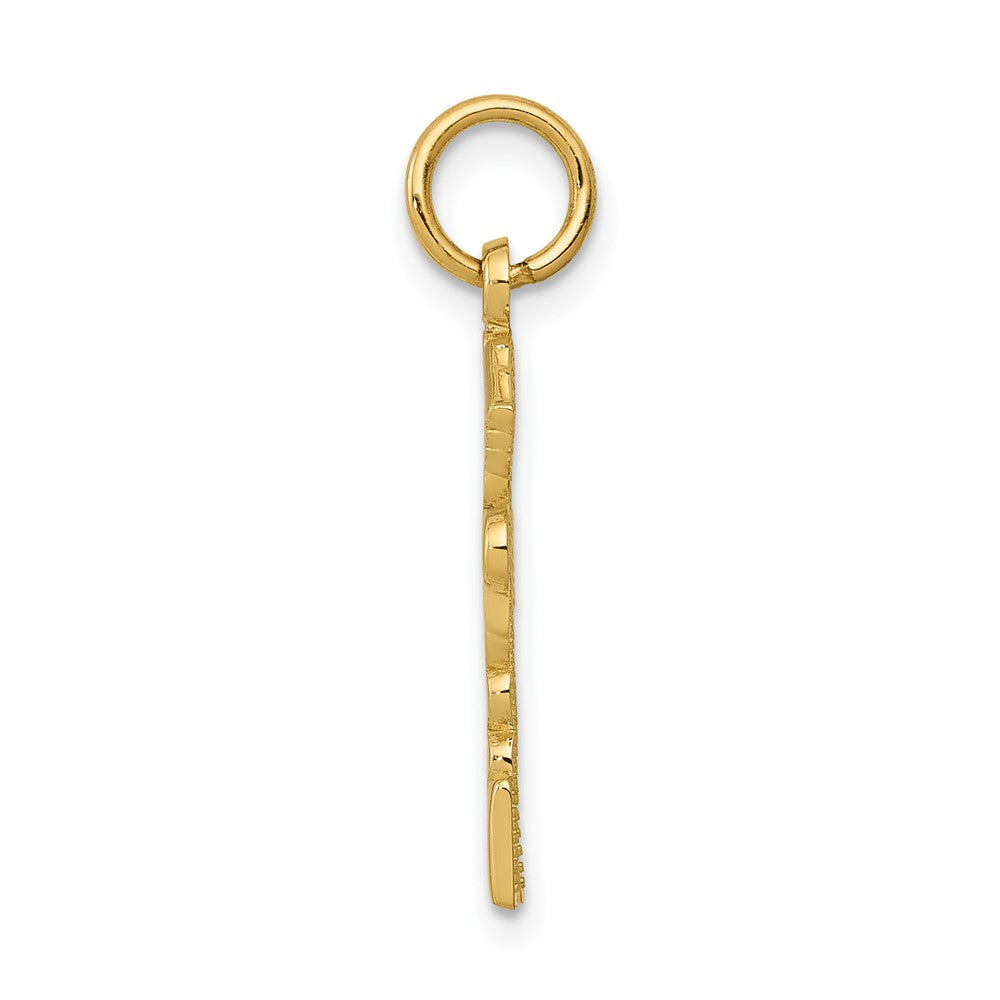 10k Yellow Gold 15 mm Registered Nurse Practitioner Charm (0.83 grams)