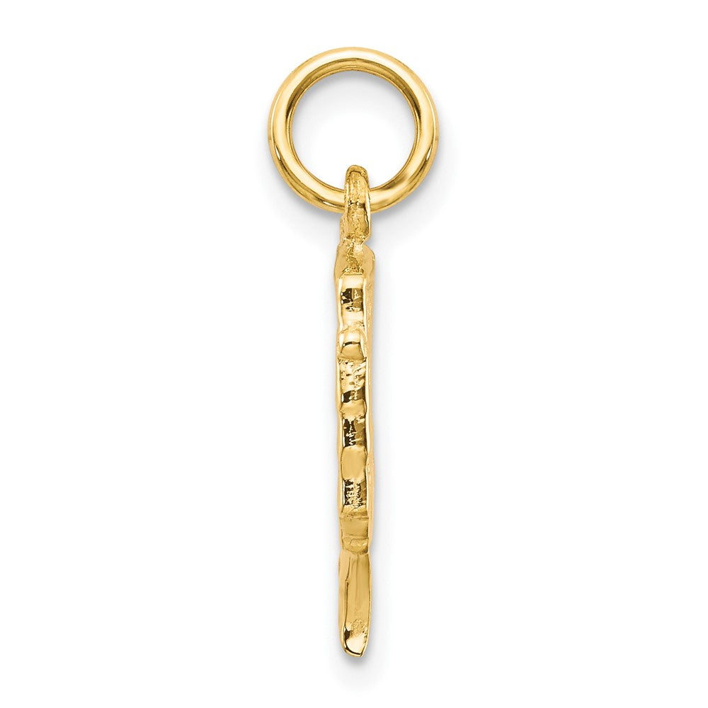 10k Yellow Gold 9 mm Solid Bust of Nefertiti Charm (0.6 grams)