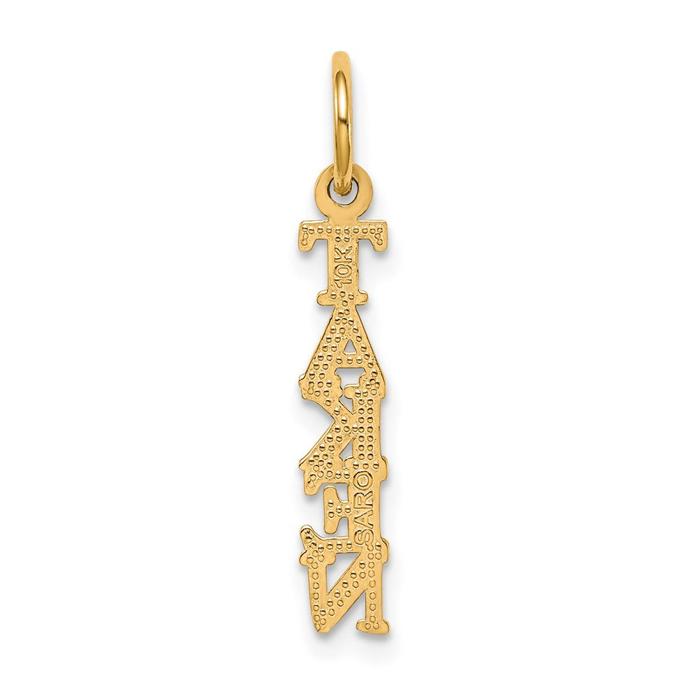 10k Yellow Gold 5 mm Talking - TAKEN Charm (0.42 grams)