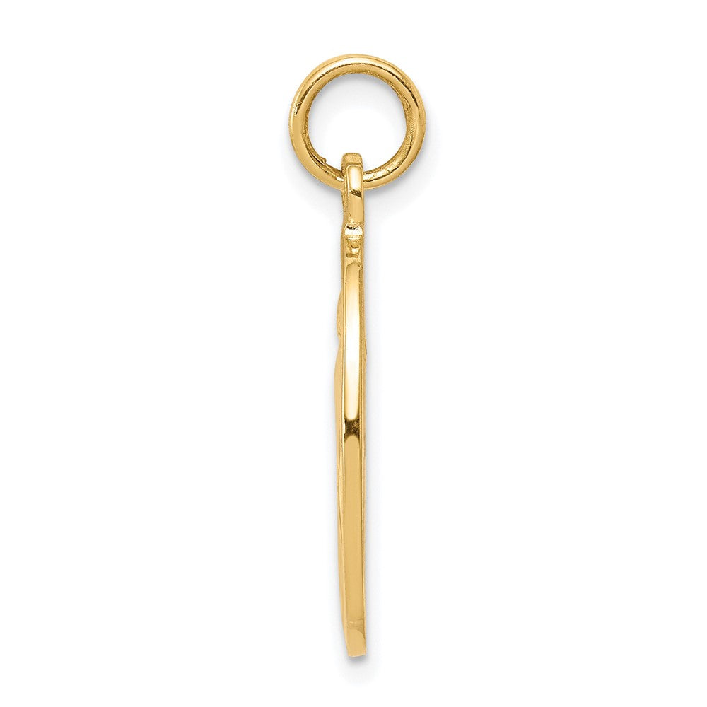 10k Yellow Gold 11 mm Miraculous Medal (1.89 grams)