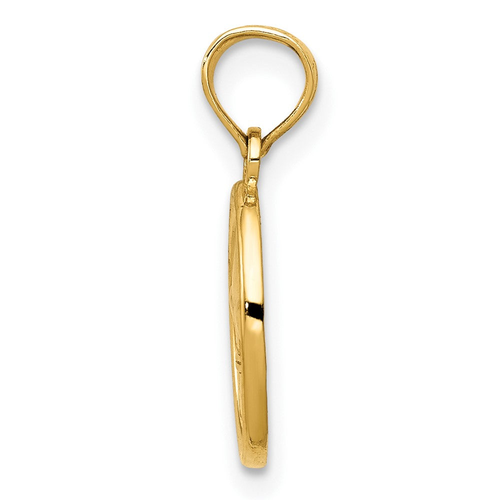 10k Yellow Gold 9 mm Polished Small Fleur De Lis in Oval Pendant (0.75 grams)