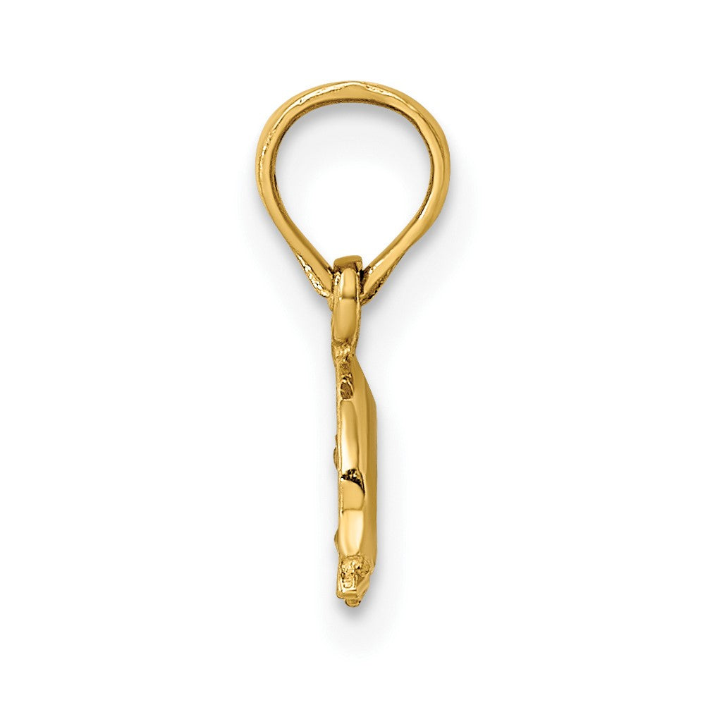 10k Yellow Gold 9.45 mm ng Charm (0.3 grams)