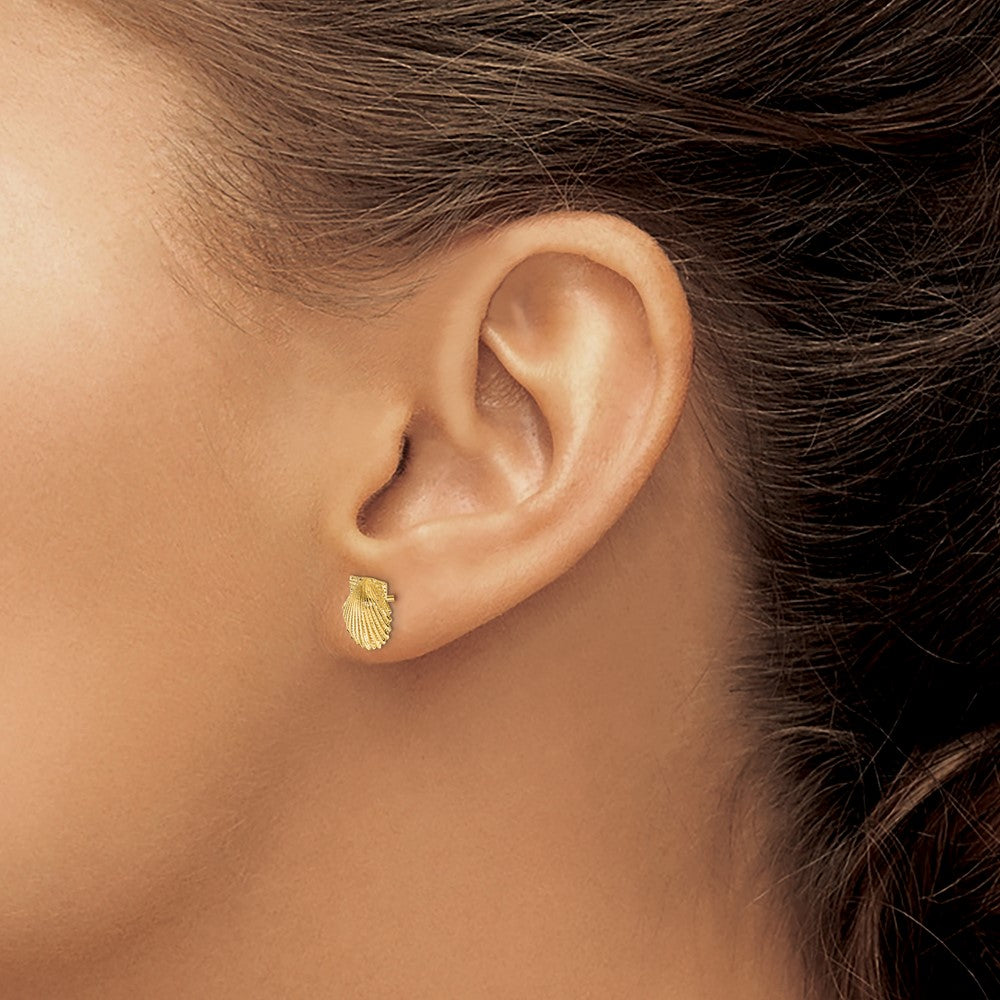 10k Yellow Gold 9 mm Scallop Shell Post Earrings (1.23 grams)