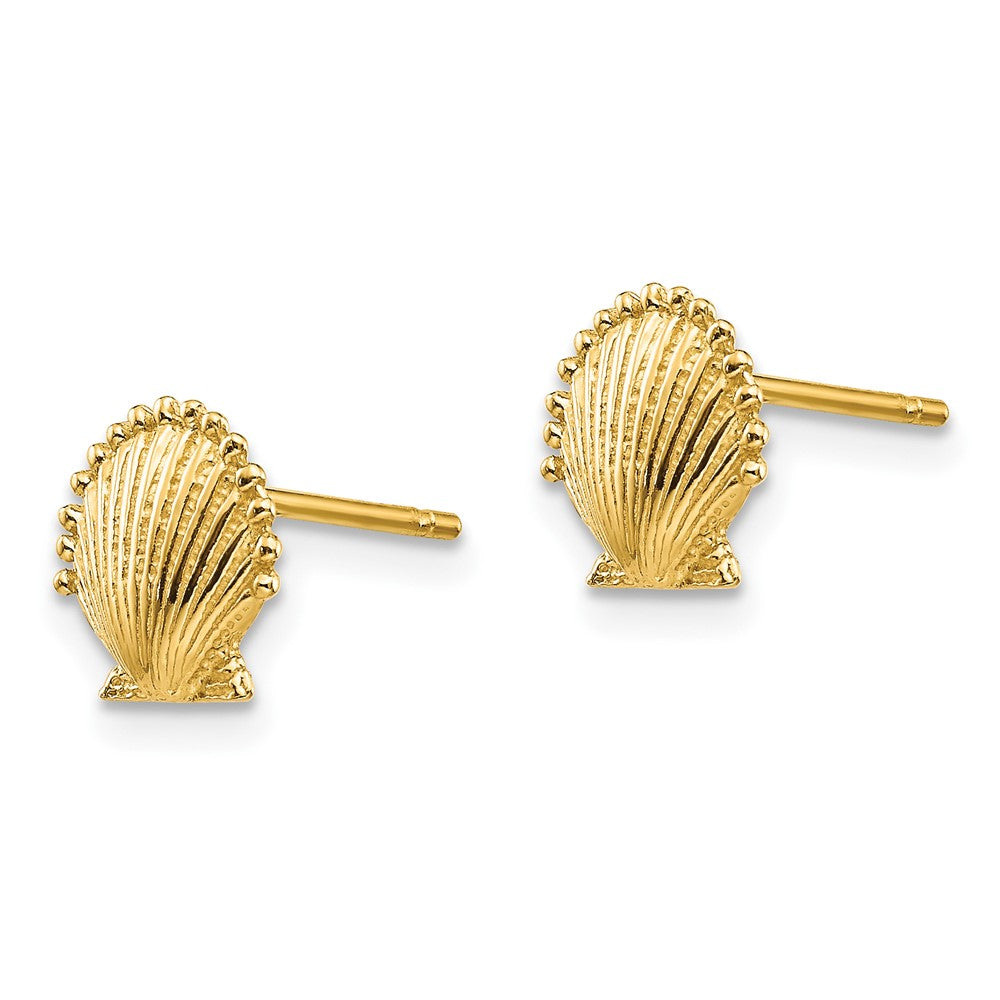 10k Yellow Gold 8.17 mm Scallop Shell Post Earrings (0.97 grams)