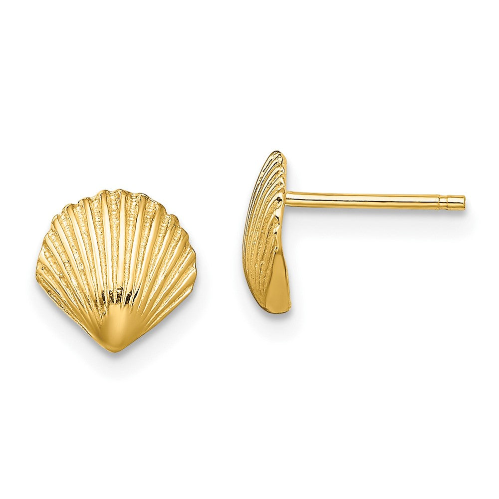 10k Yellow Gold 8 mm Scallop Shell Post Earrings (0.86 grams)