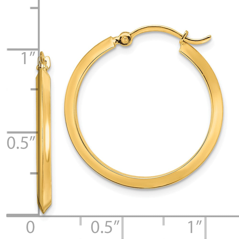 10k Yellow Gold 25 mm Polished Hoop Earrings (1.3 grams)