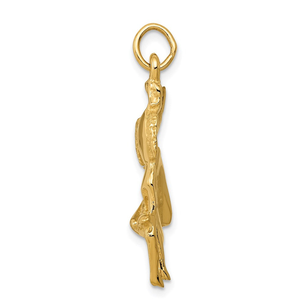 14k Yellow Gold 16 mm Matador Charm (2.22 grams)