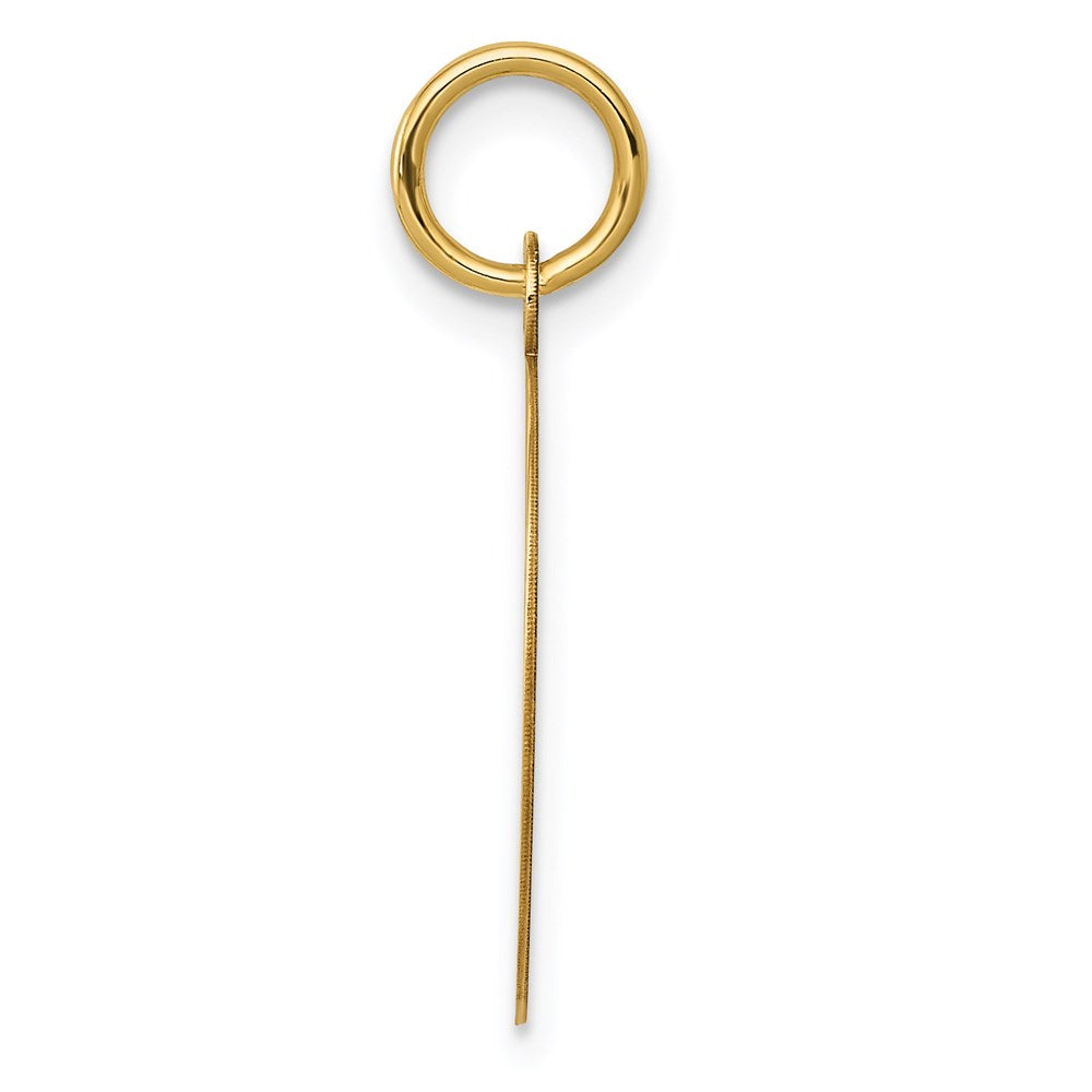 14k Yellow Gold 15 mm Record Album Charm (0.8 grams)