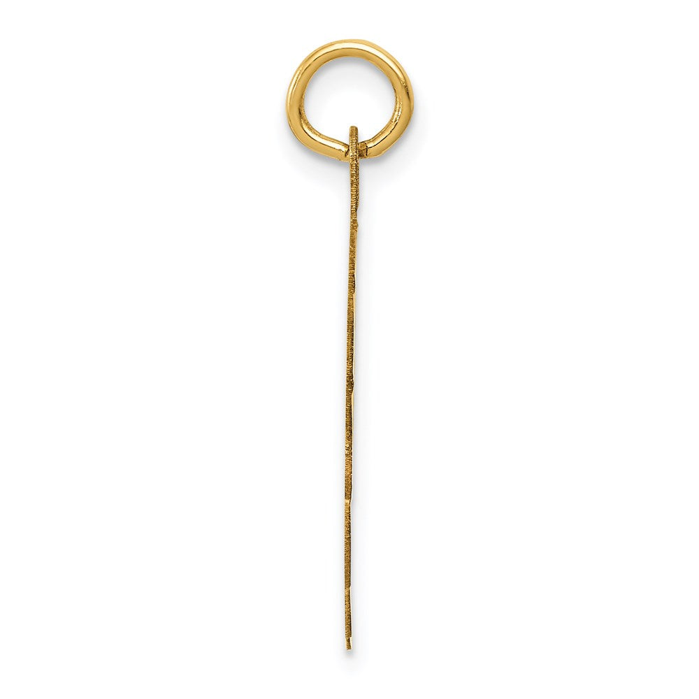 14k Yellow Gold 18 mm Wrestling Scalloped Edge Disc Charm (1 grams)