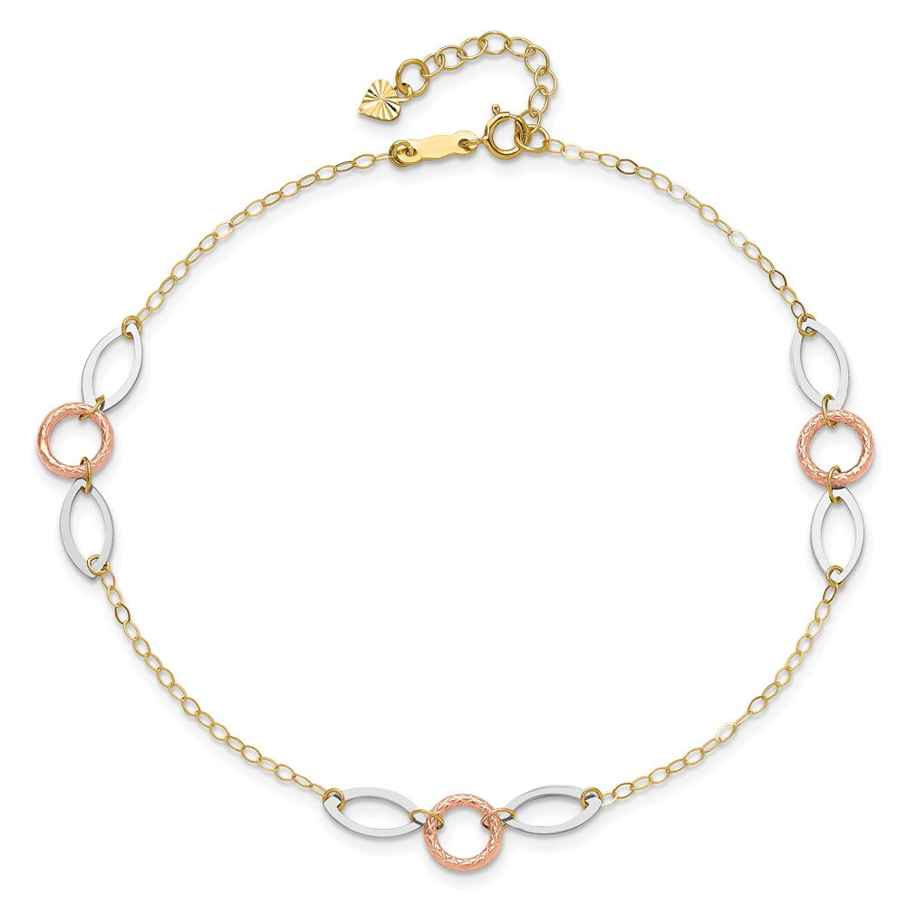 14k Tri-Color 1 mm 4k Tri-color Circle and Oval in Plus in ext. Anklet (1.3 grams)