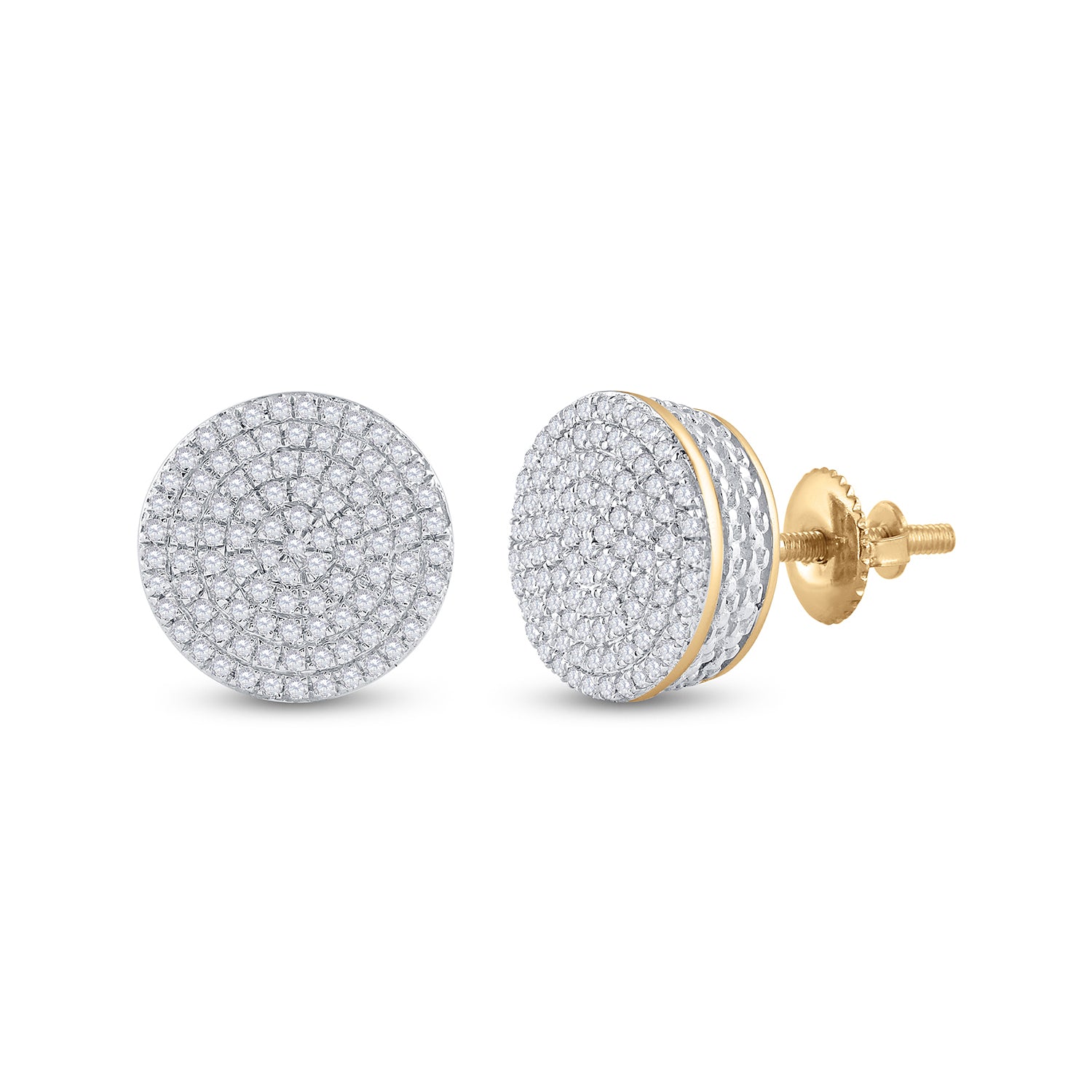 1/3Ctw-Dia Fashion Earring (2.88 grams)