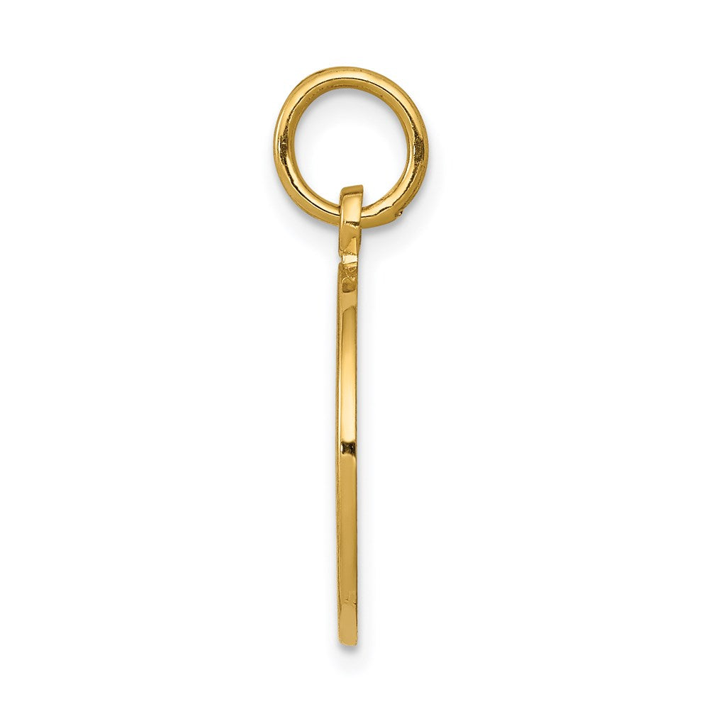 14k Yellow Gold 15 mm nion Charm (1.65 grams)