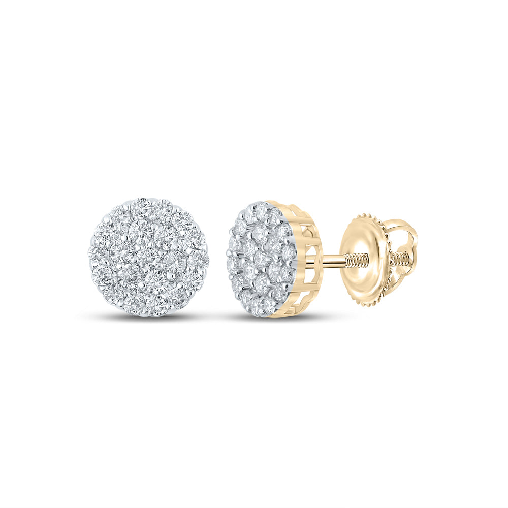 10Kt Yellow Gold 3/4Ctw-Diamond Round Earring (1.4 grams)
