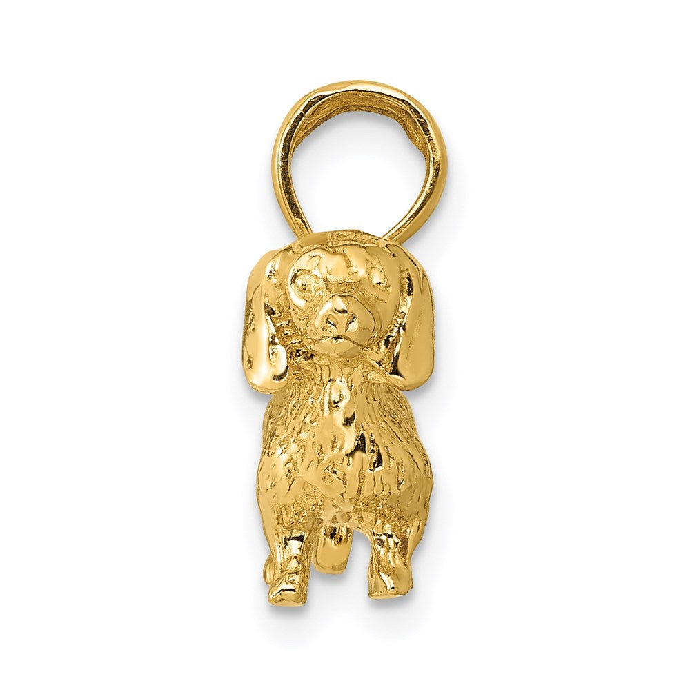 14k Yellow Gold 25 mm Solid Polished 3-D Wire Haired Dachshund Charm (4.52 grams)