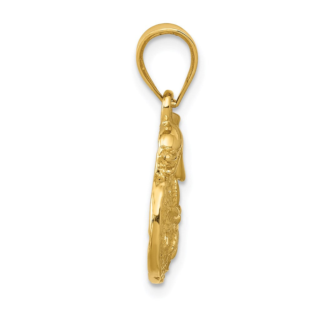 14k Yellow Gold 14 mm Dolphin and Sanddollar Charm (1.58 grams)