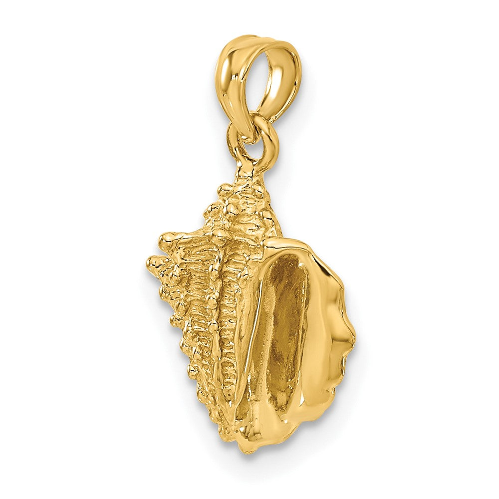 14k Yellow Gold 10 mm Solid Polished Conch Shell Pendant (1.36 grams)