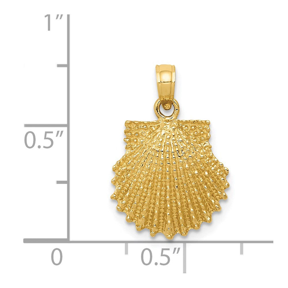 14k Yellow Gold 14 mm Textured Scallop Shell Pendant (1.66 grams)