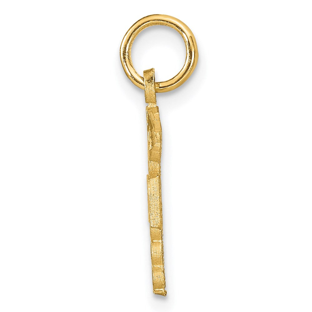 14k Yellow Gold 12 mm RN Nurse Charm (0.83 grams)