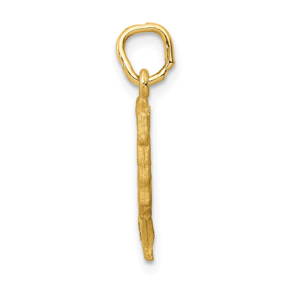 14k Yellow Gold 10 mm Satin Front / Polished Back Nefertiti Charm (0.94 grams)