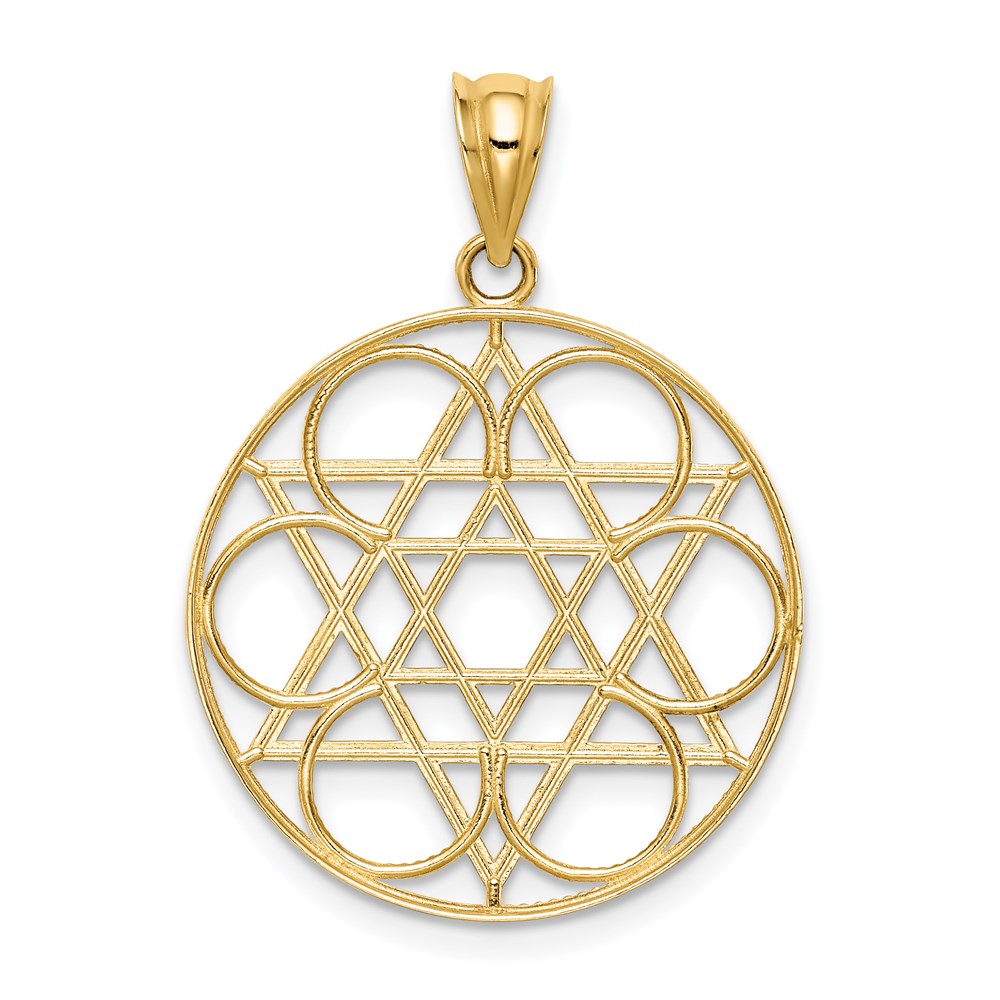 14k Yellow Gold 22 mm Star of David Circle Pendant (1.41 grams)
