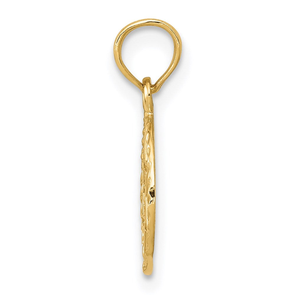 14k Yellow Gold 11 mm Star of David in Circle Frame Pendant (0.62 grams)