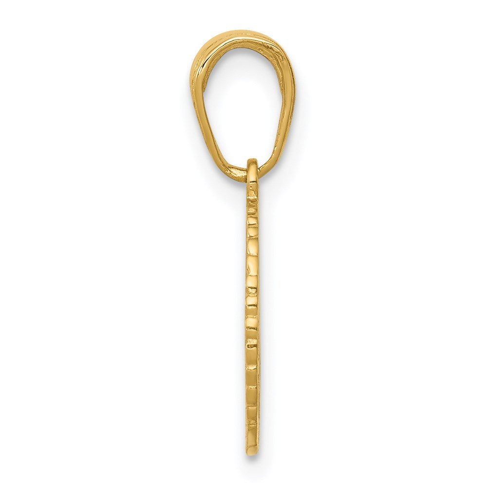 14k Yellow Gold 13 mm Star of David and Chai in Circle Pendant (0.66 grams)