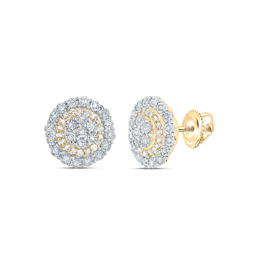10Kt Gold 1/4Ctw-Dia P1 Gift Flower Earring