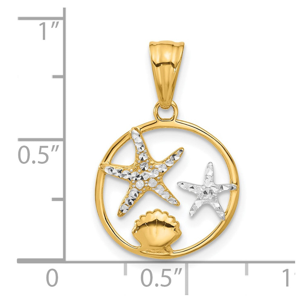 14k Yellow & Rhodium 15.7 mm Diamond Cut Starfish Seashell in Circle Pendant (1.26 grams)