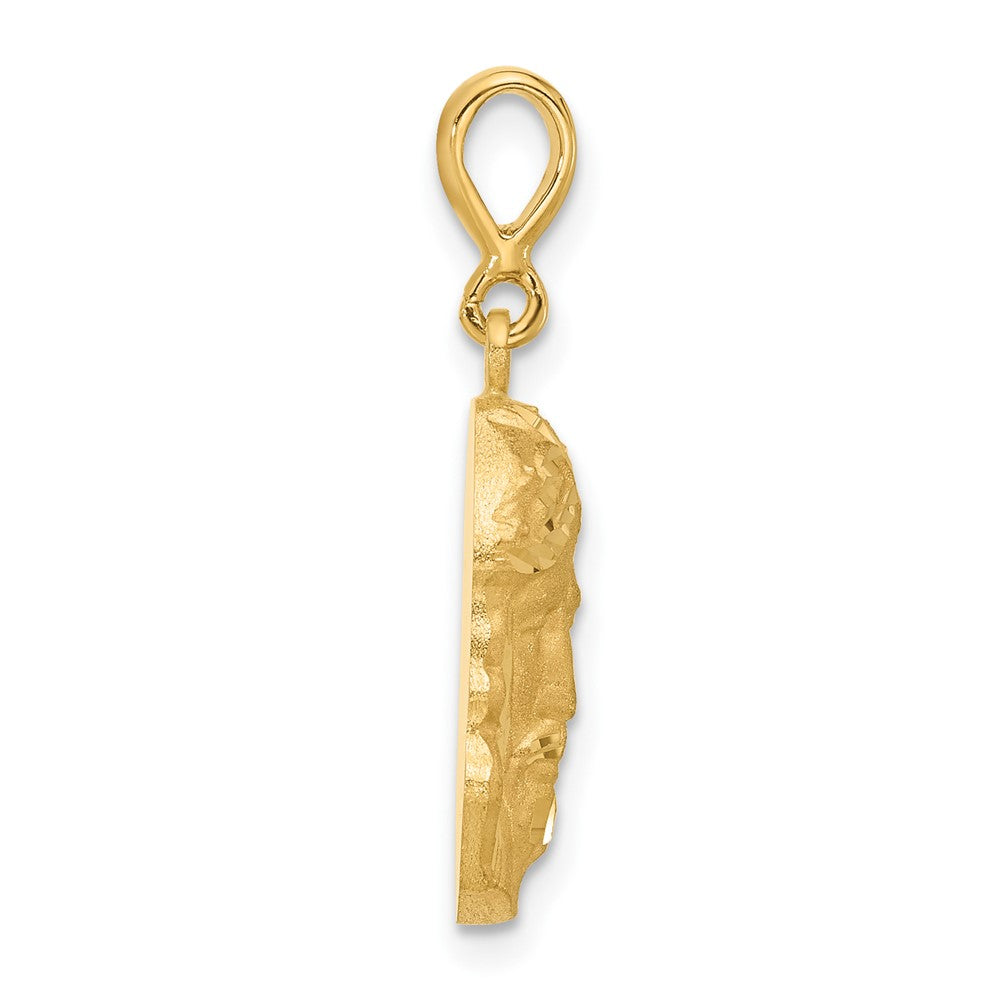 14k Yellow Gold 12.6 mm Satin and Diamond-cut Jesus Medal Pendant