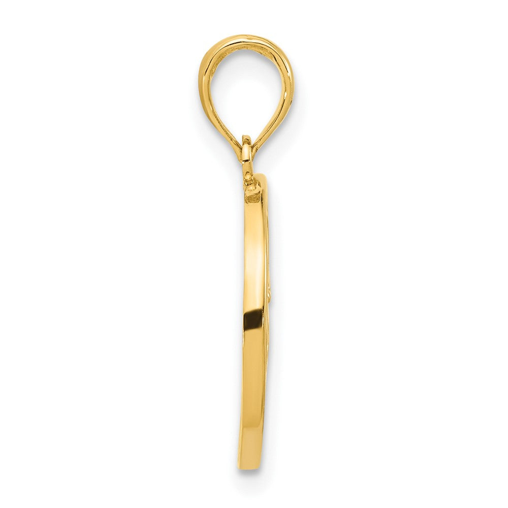 14k Yellow Gold 15 mm Polished Music Notes in Circle Pendant (1.26 grams)