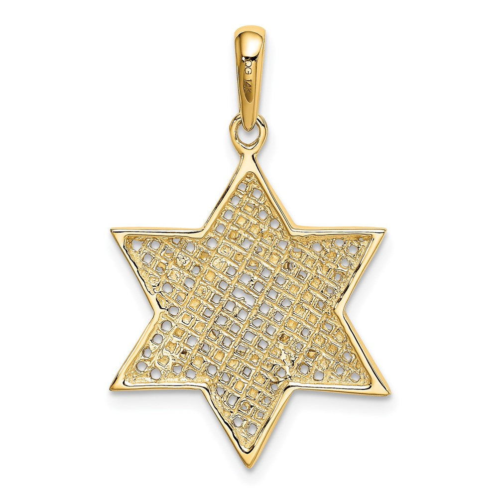 14k Yellow & Rhodium 21 mm Solid Mesh Star Of David Charm (2.58 grams)