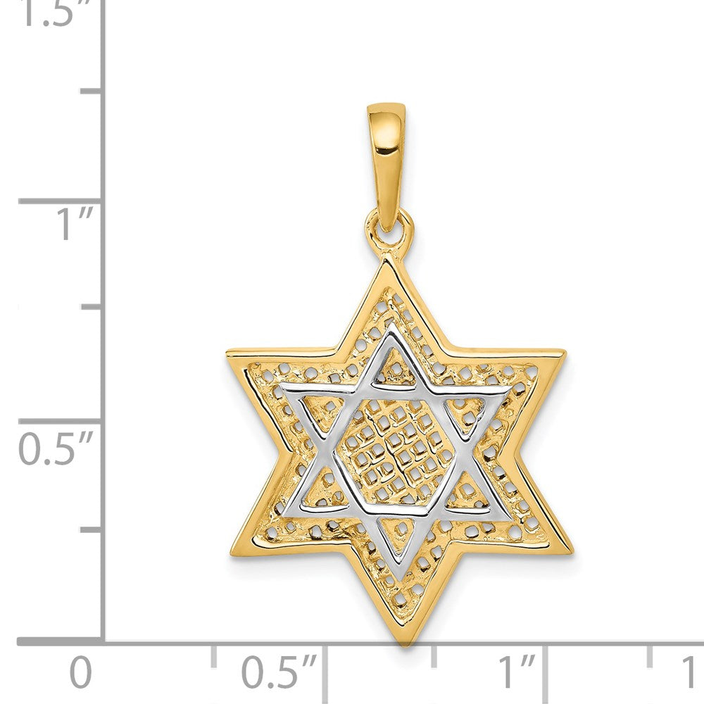 14k Yellow & Rhodium 21 mm Solid Mesh Star Of David Charm (2.58 grams)