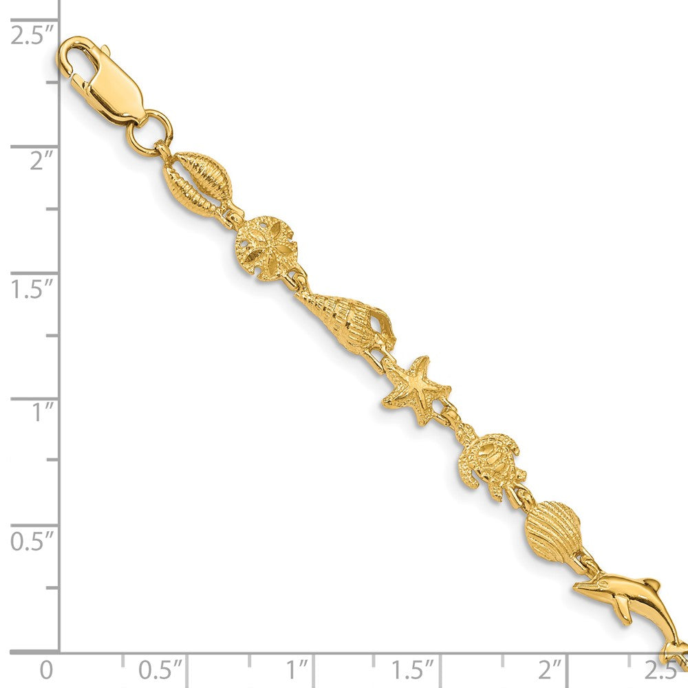 14k Yellow Gold 7 mm Polished and Textured Sea Life Bracelet (5.58 grams)