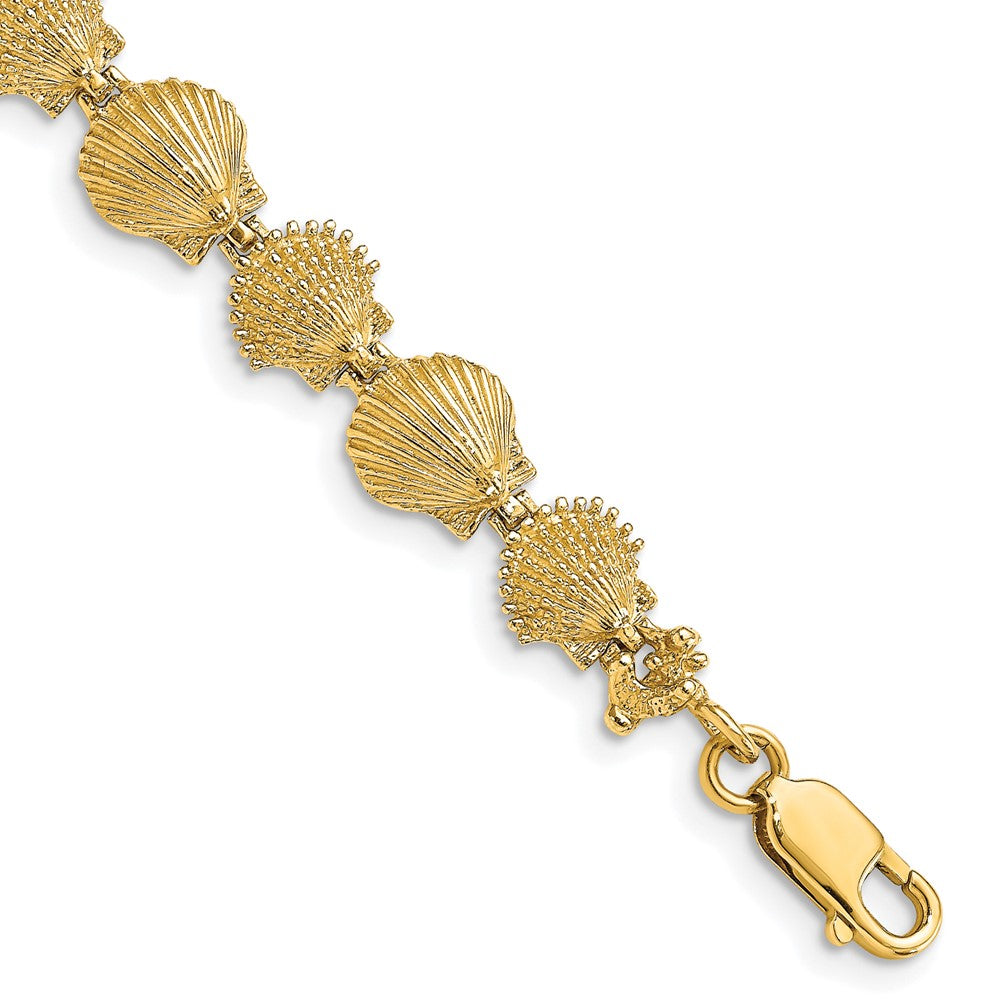 14k Yellow Gold 8.14 mm Polished /Textured Scallop Shell Bracelet (8.45 grams)