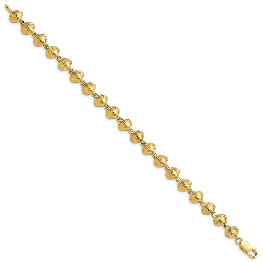 14k Yellow Gold 6.84 mm Clam Shell Bracelet (6.81 grams)