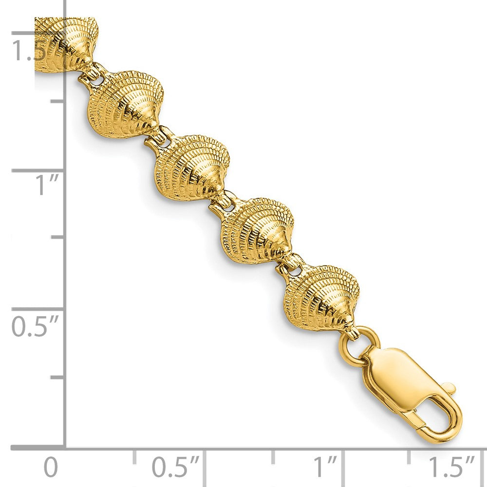 14k Yellow Gold 6.84 mm Clam Shell Bracelet (6.81 grams)