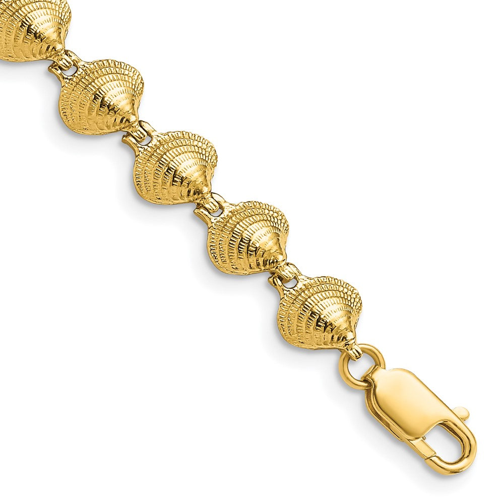 14k Yellow Gold 6.84 mm Clam Shell Bracelet (6.81 grams)