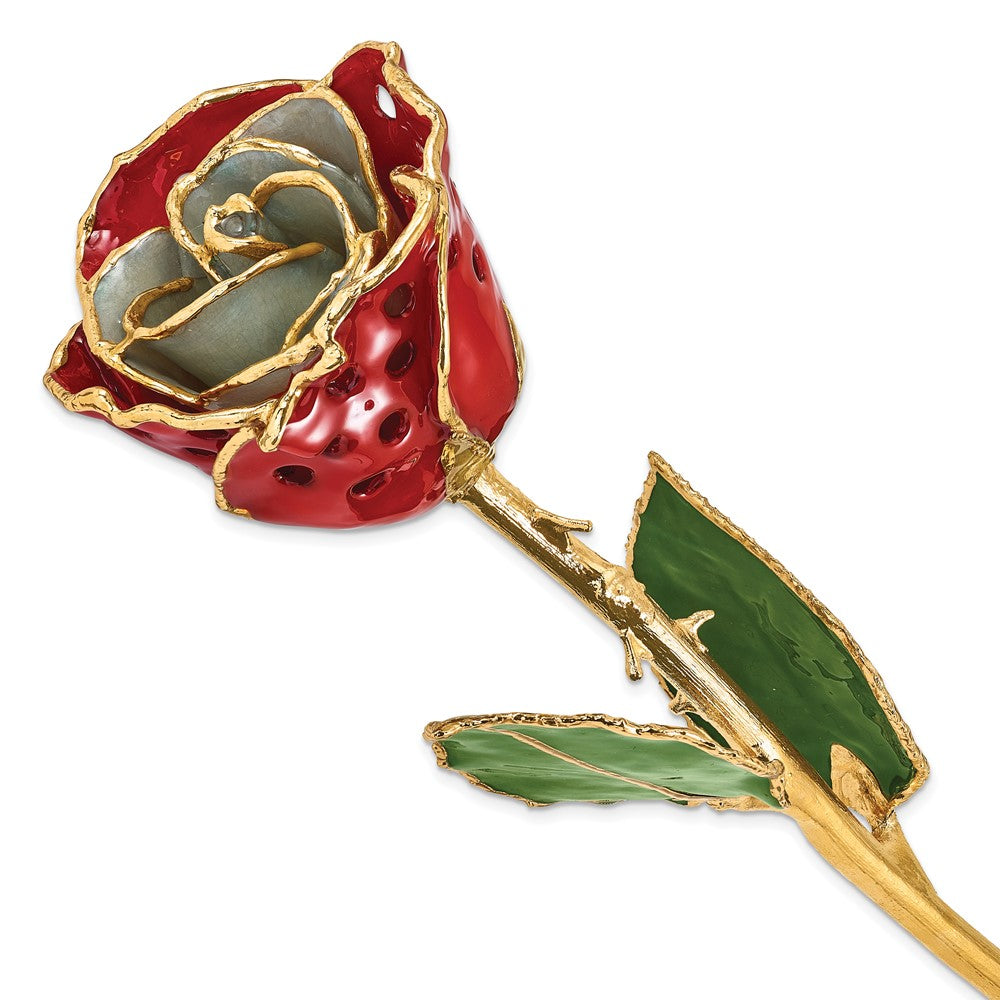 Lacquer Dipped Gold Trim White/Red w/Holes Rose