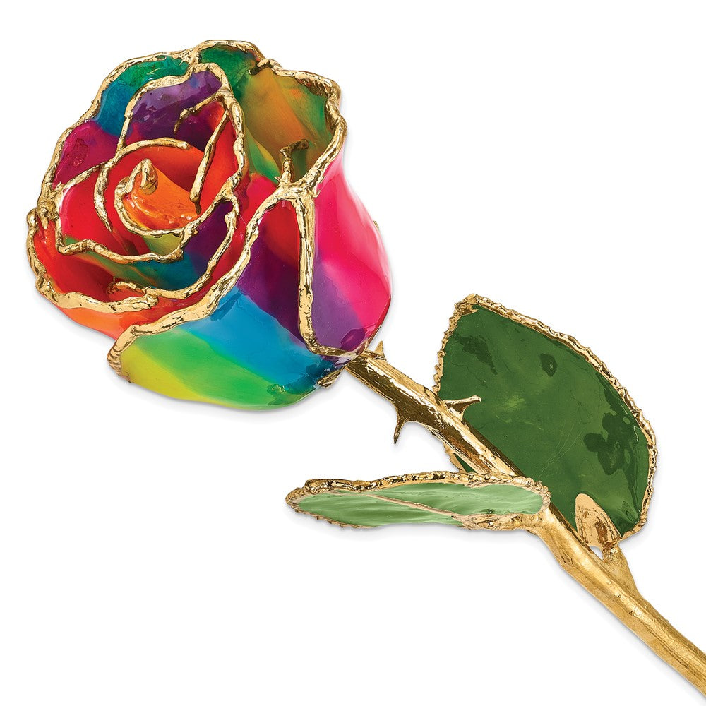 Lacquer Dipped Gold Trim Paradise Neon Tie Dyed Rose