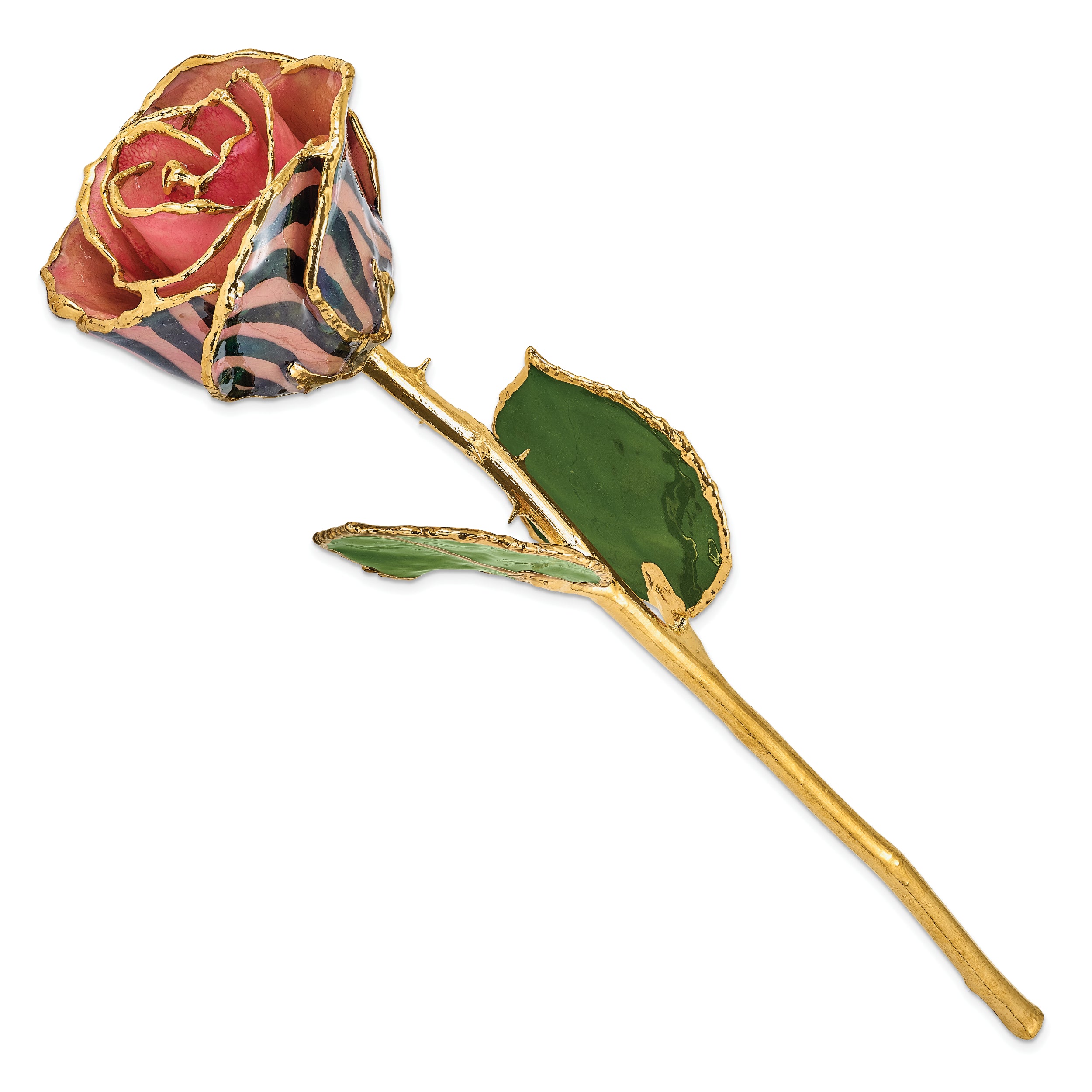 Lacquer Dipped Gold Trim Pink and Black Chameleon Rose