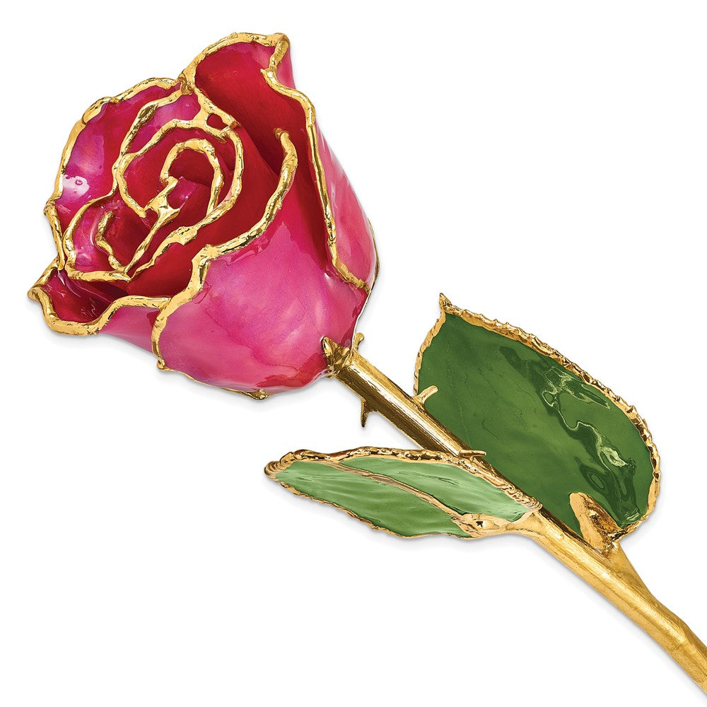 Lacquer Dipped Gold Trim Plum Fuchsia Rose
