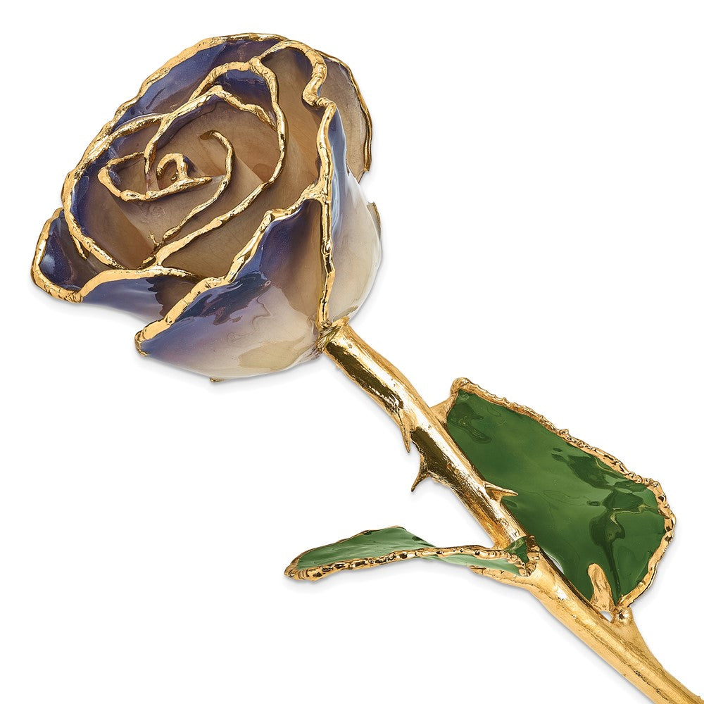 Lacquer Dipped 24k Gold Trim White/Twilight Pearl Rose