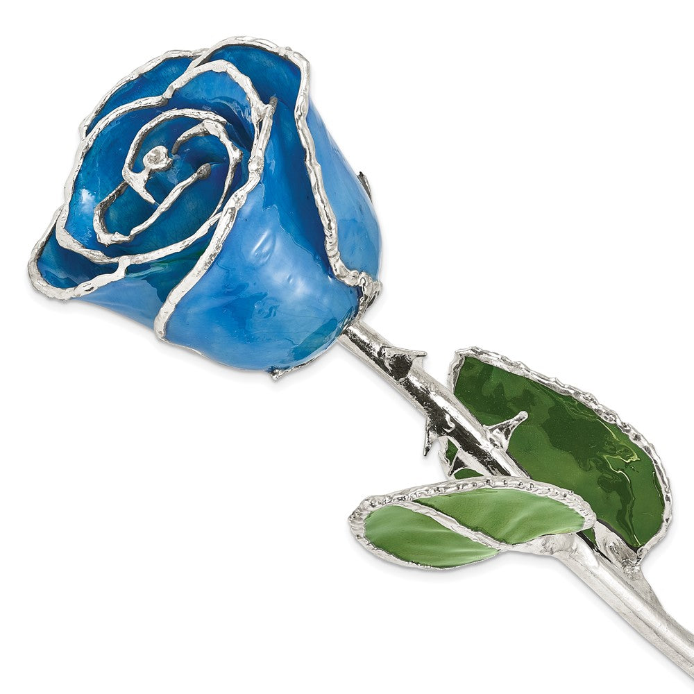 Lacquer Dipped Silver Trim Blue Rose