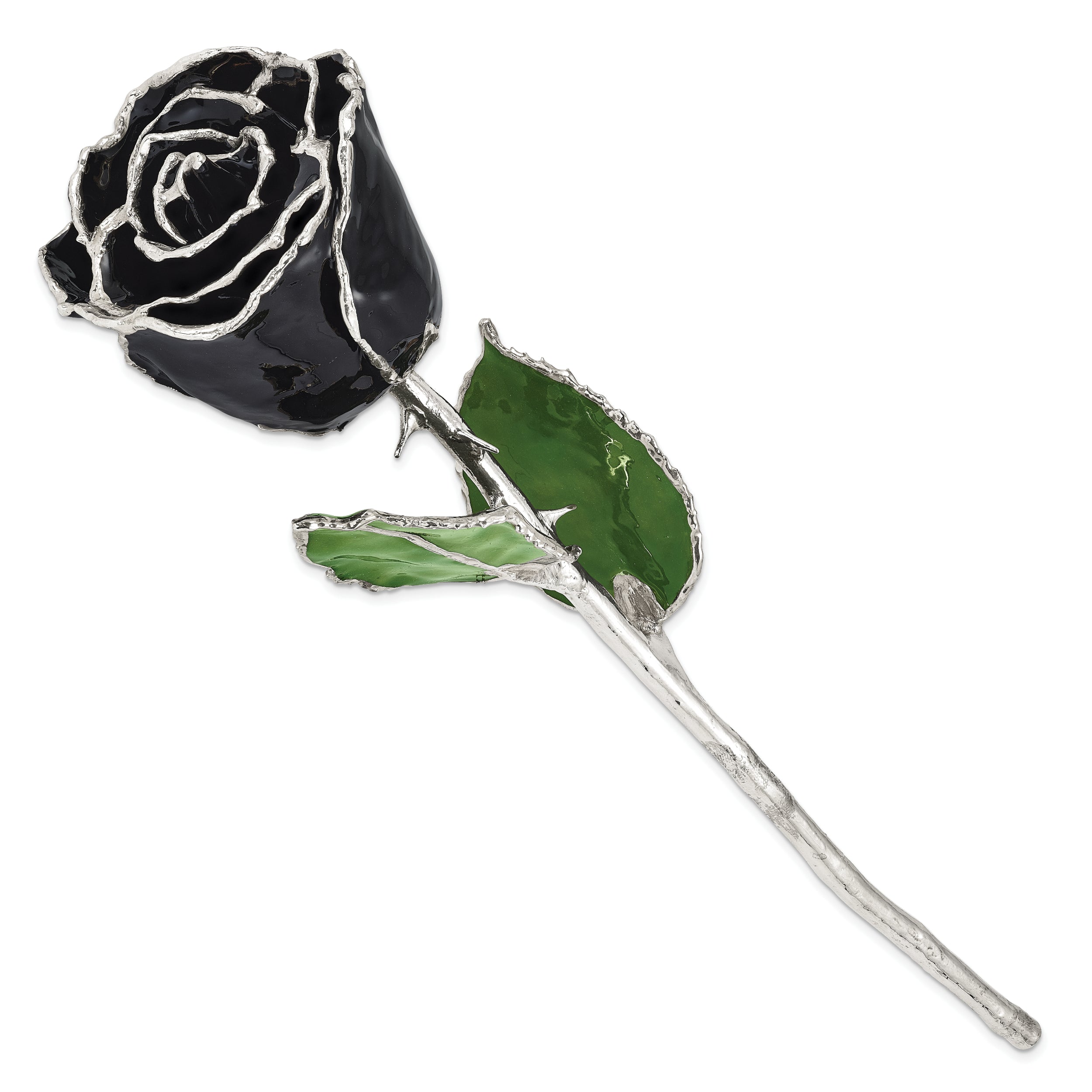 Lacquer Dipped Silver Trim Black Rose
