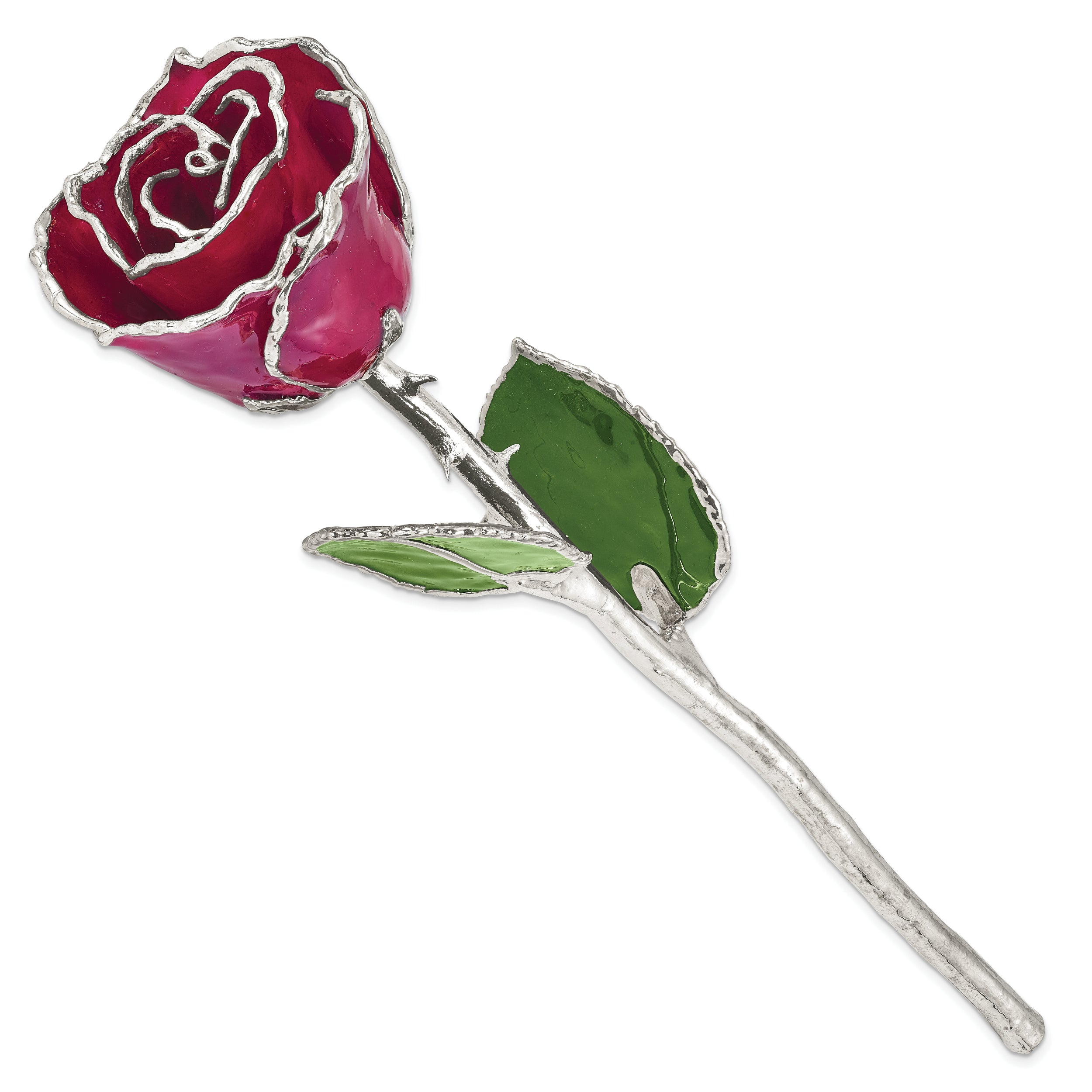 Lacquer Dipped Silver Trim Burgundy Rose