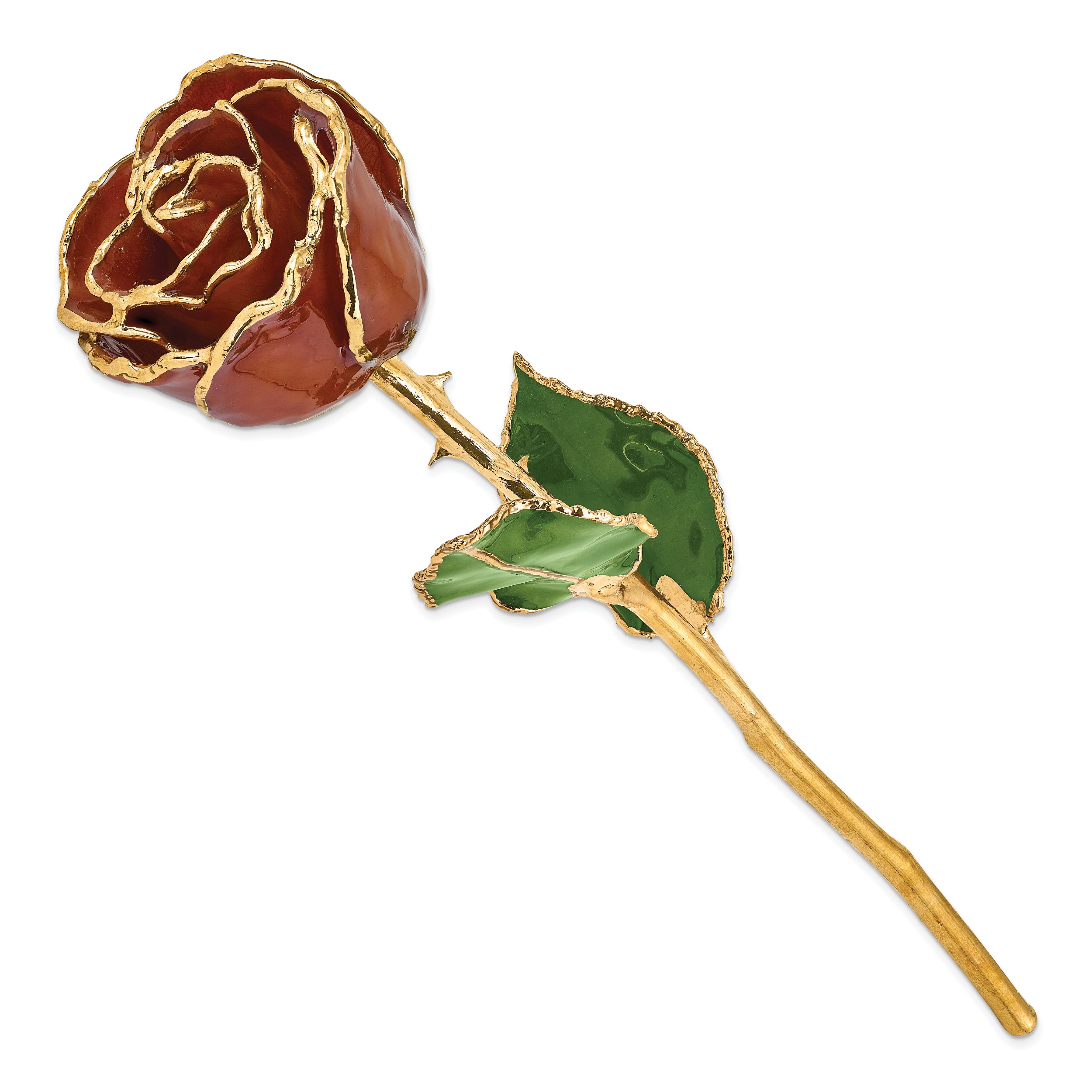 Lacquer Dipped Gold Trim Root Beer Rose